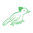 Protección de Especies Prioritarias