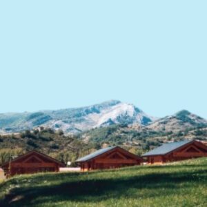 ALOJAMIENTO camping bosque de gordon