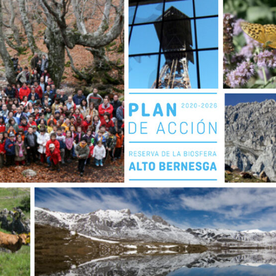 Plan de acción RB Alto Bernesga