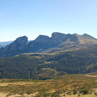 viadangos valle