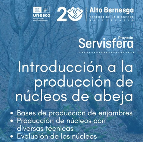 Introducción a la producción de núcleos de abeja_corto