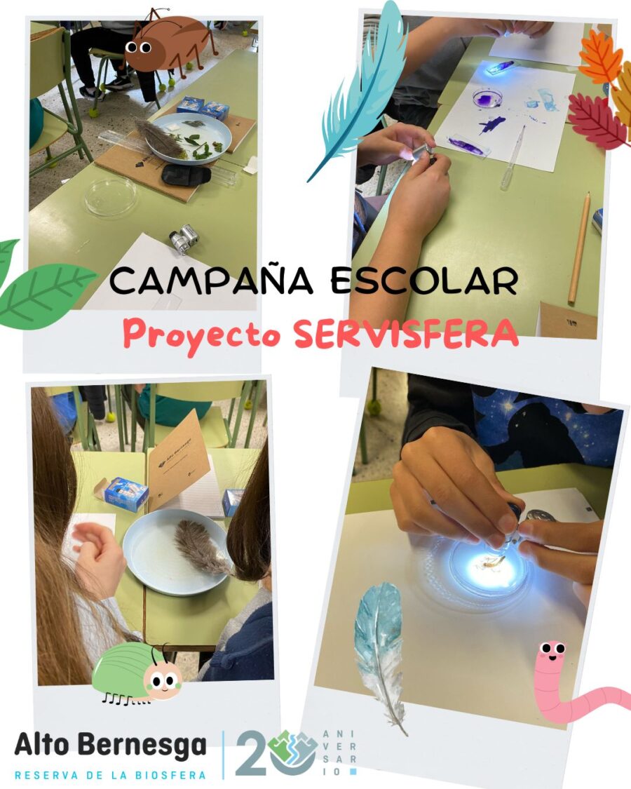 Campaña Escolar Proyecto SERVISFERA (1)