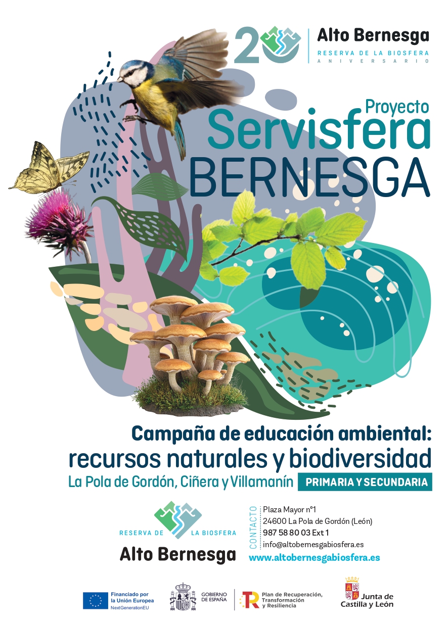 PRESENTACION SERVISFERA BERNESGA_page-0001