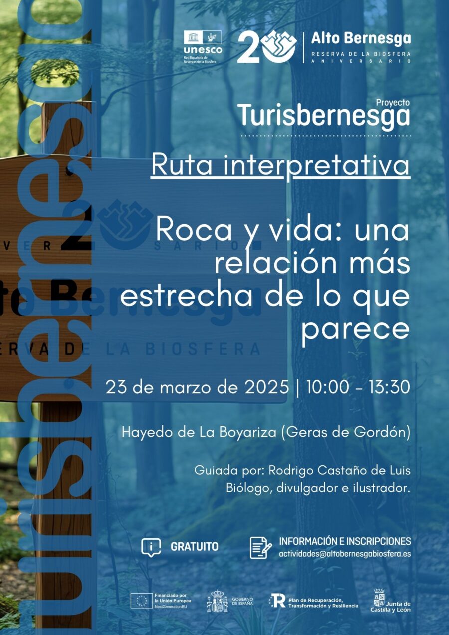 RUTA GUIADA BOYARIZA RODRIGO (2)