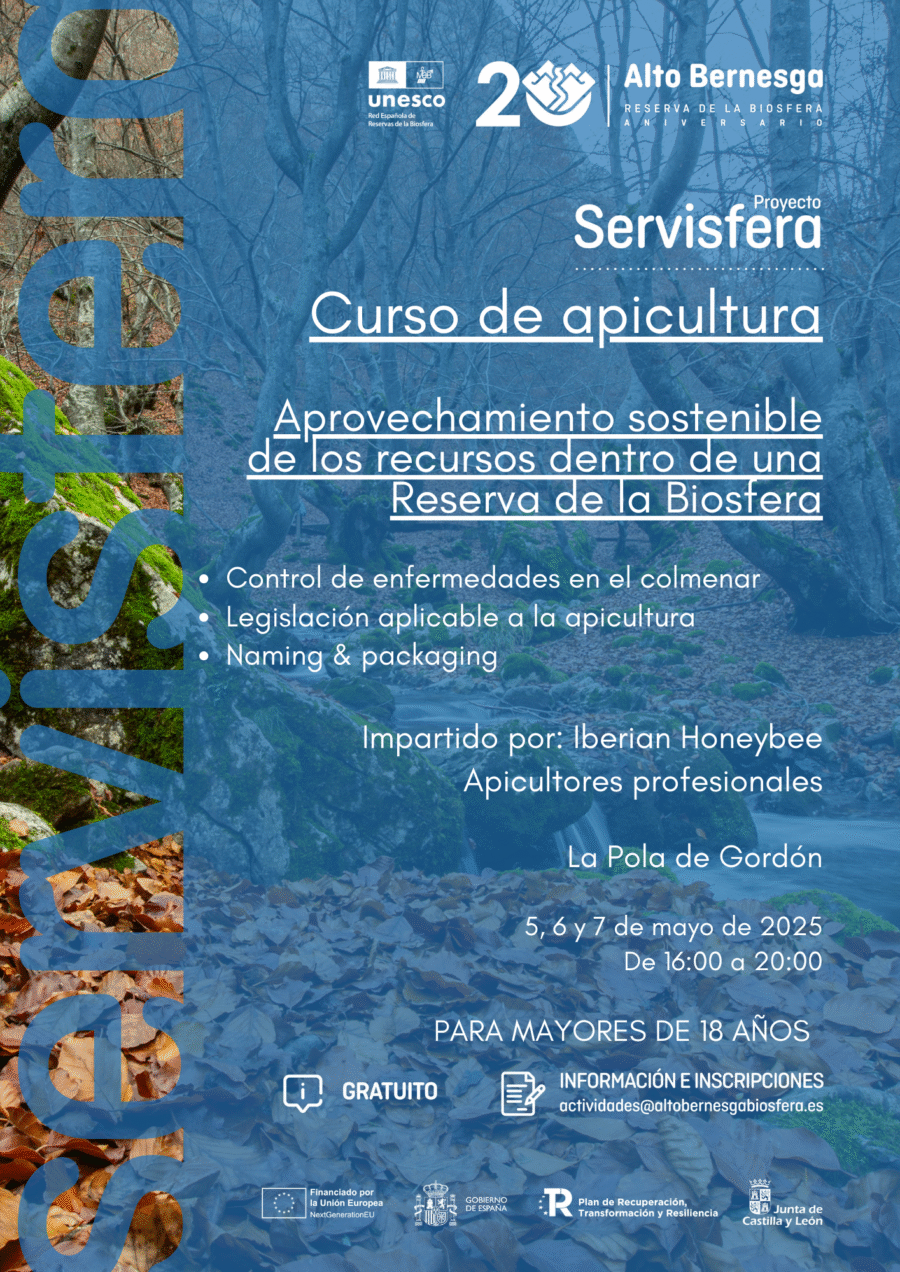 CURSO APICULTURA