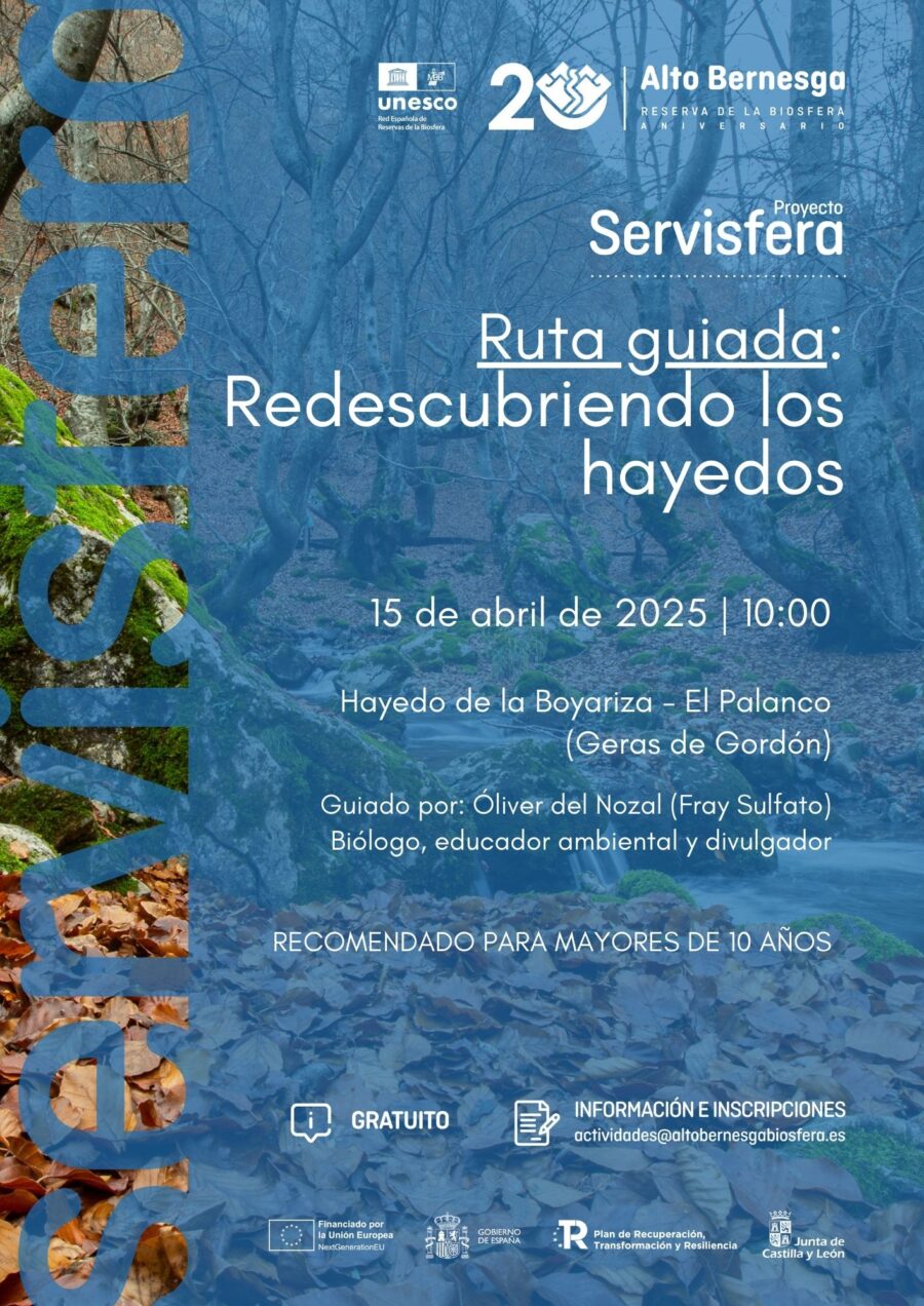 RUTA HAYEDOS