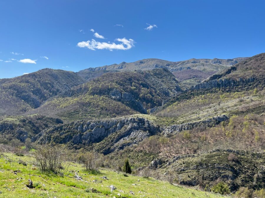 Verano 2025 en la Reserva de la Biosfera Alto Bernesga