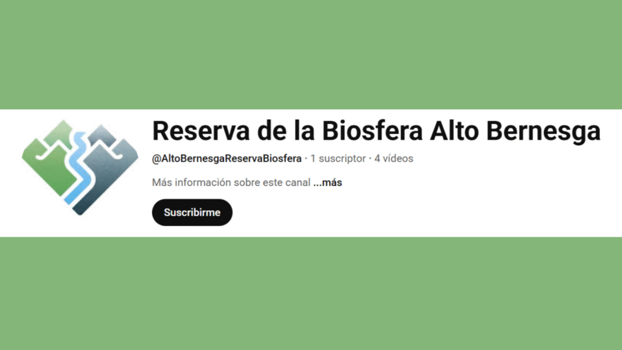 Canal Youtube