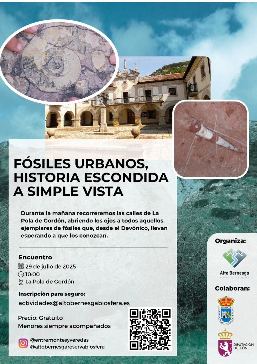 fósiles