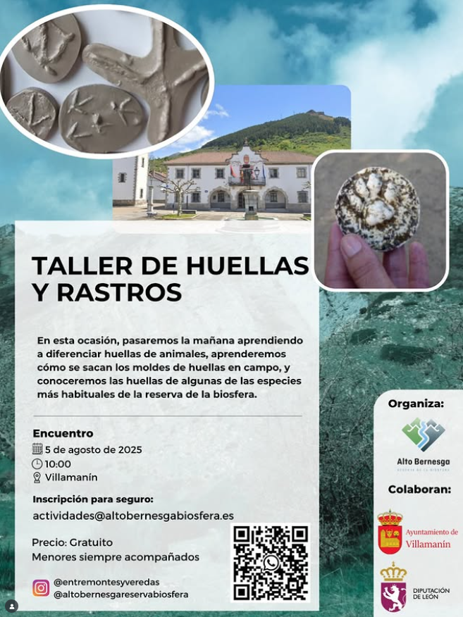 Taller de huellas y rastreo