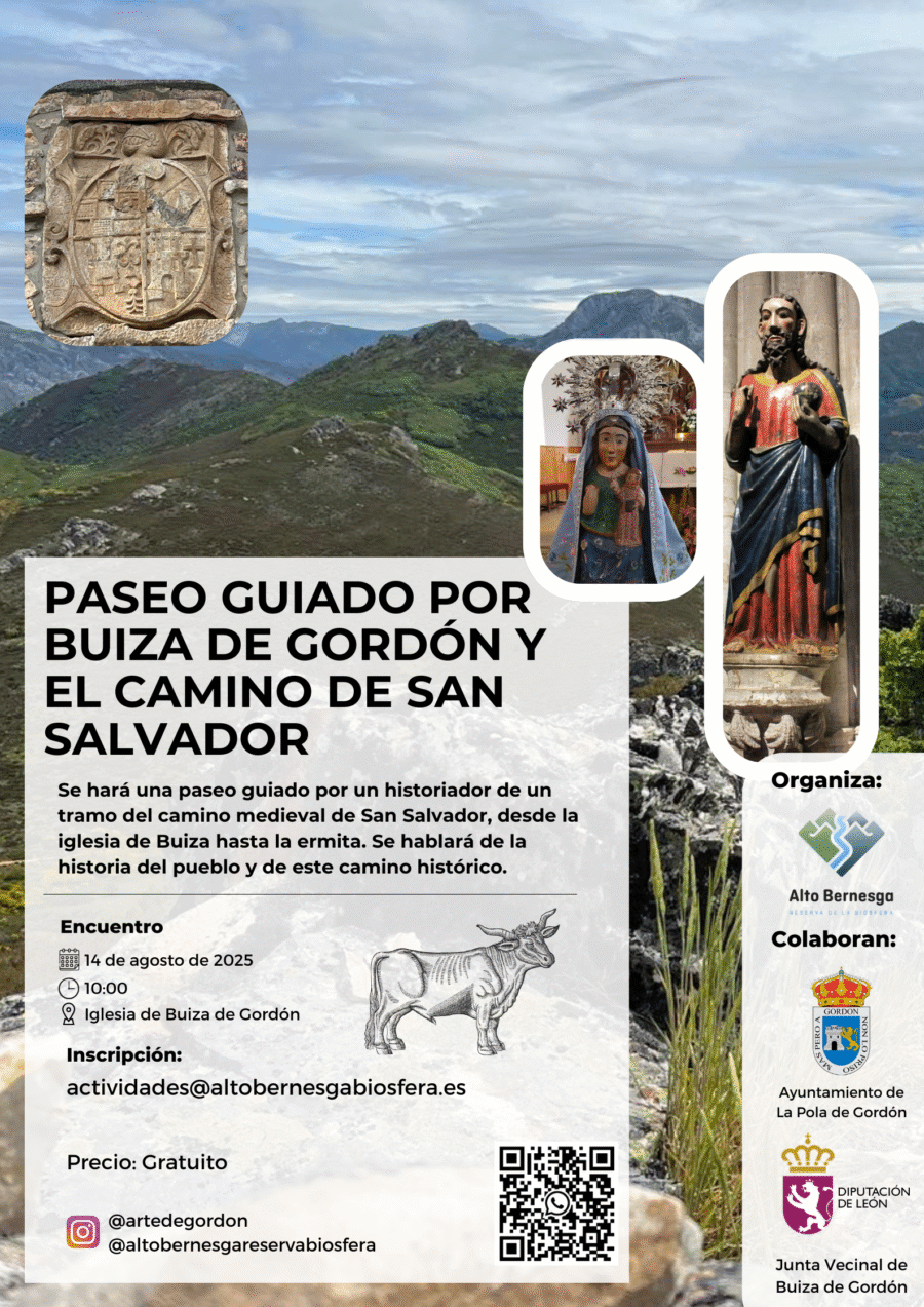 e6 - Paseo Buiza 2025