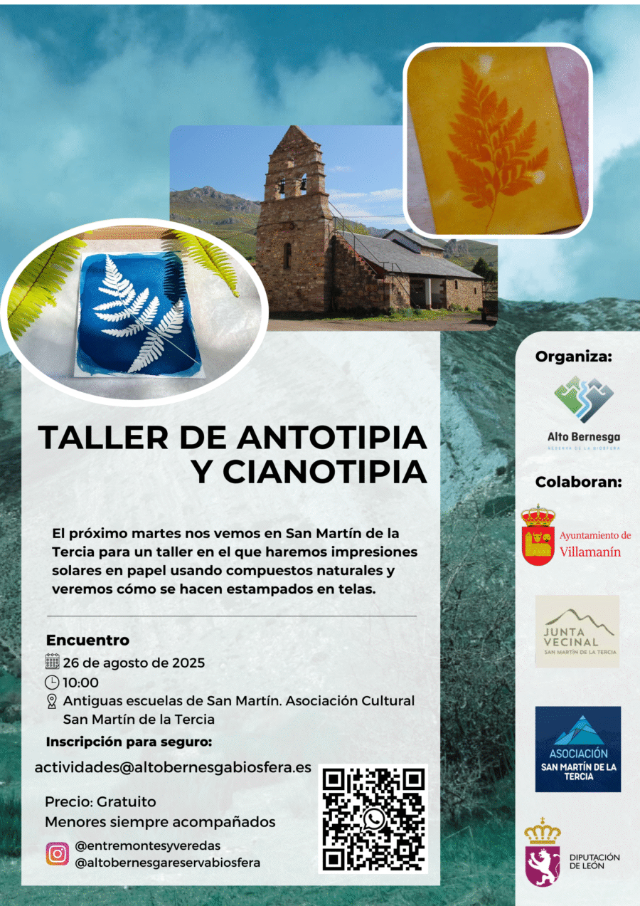 TALLER CIANOTIPIA