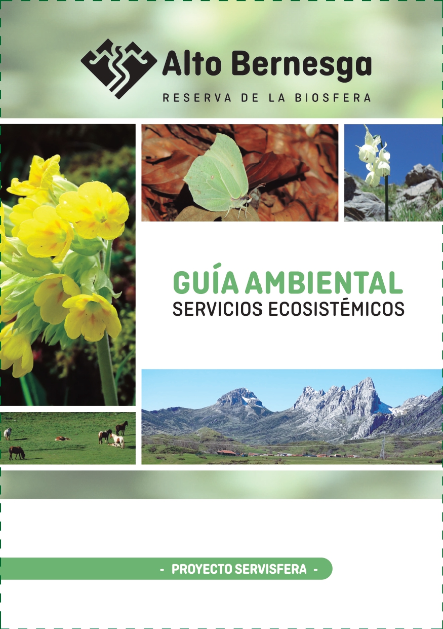 Portada Guía Ambiental de Servicios Ecosistémicos