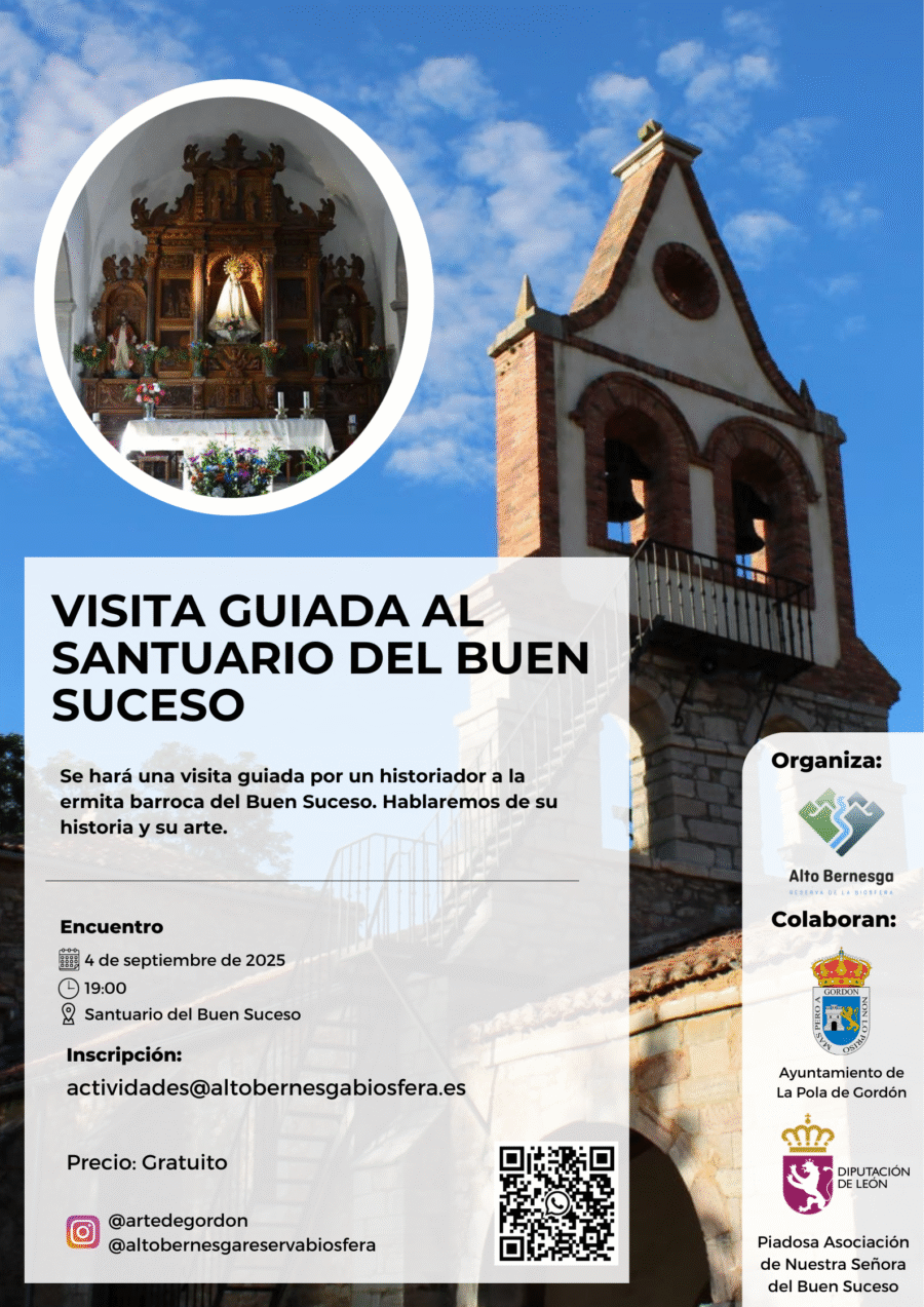 e9 - Visita Buen Suceso 2025
