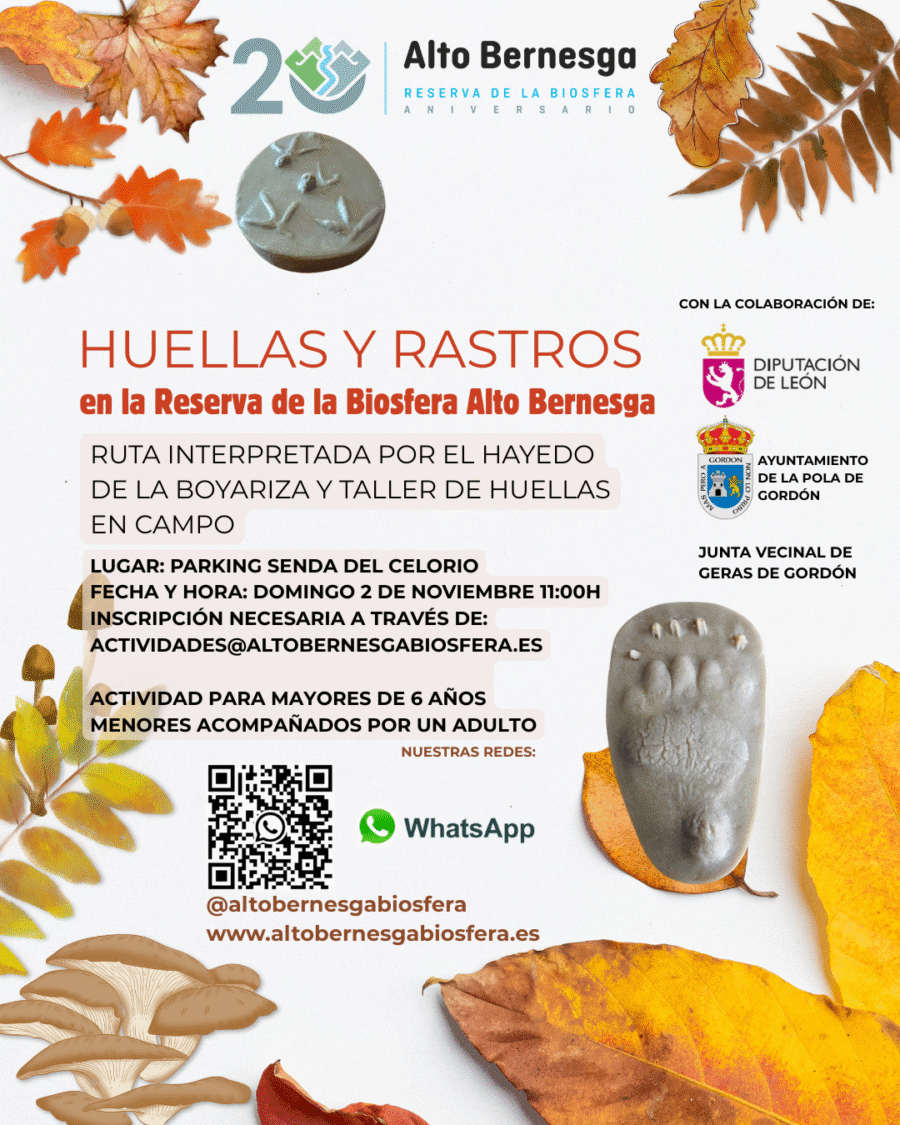 @altobernesgabiosfera (5)