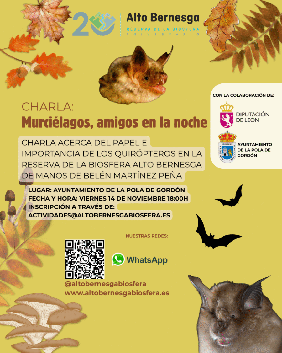 Act.Amb. OTOÑO