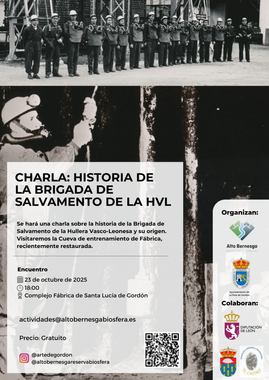 Cartel Brigada de Salvamento