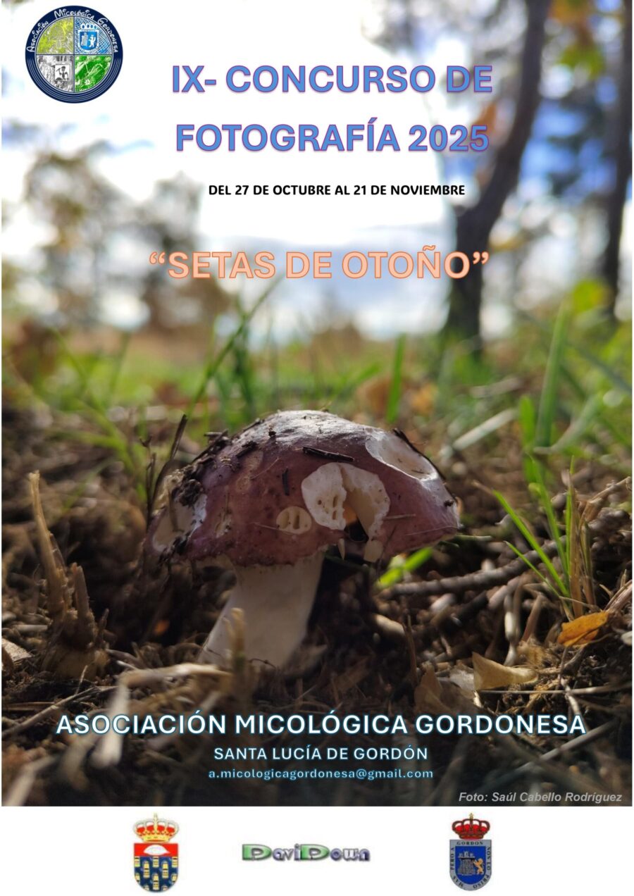 Concurso fotografía-2025_page-0001