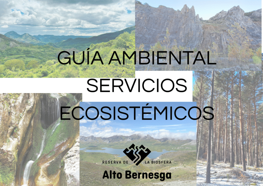 GUÍA AMBIENTAL SERVISCIOS ECOSITÉMICOS