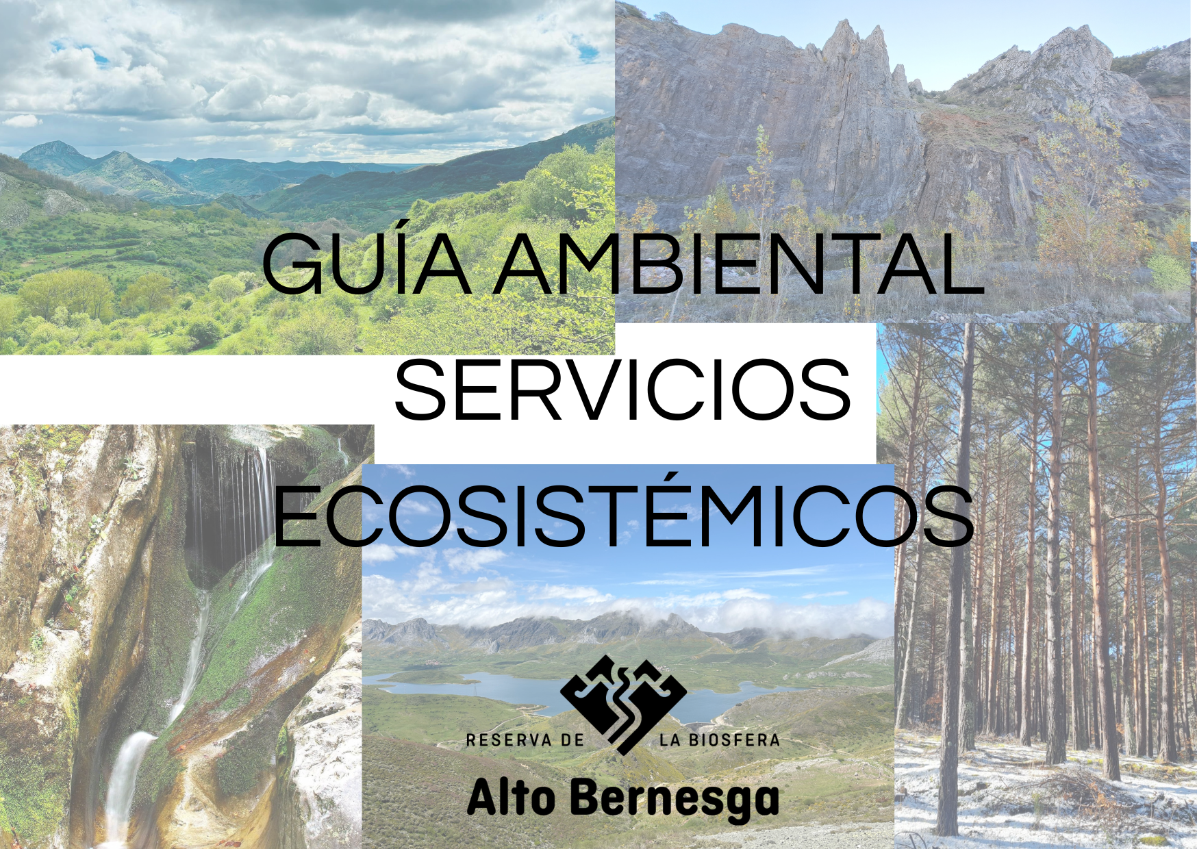 GUÍA AMBIENTAL SERVISCIOS ECOSITÉMICOS