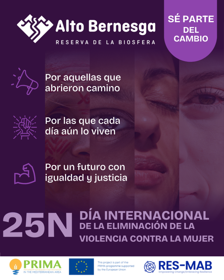 25N