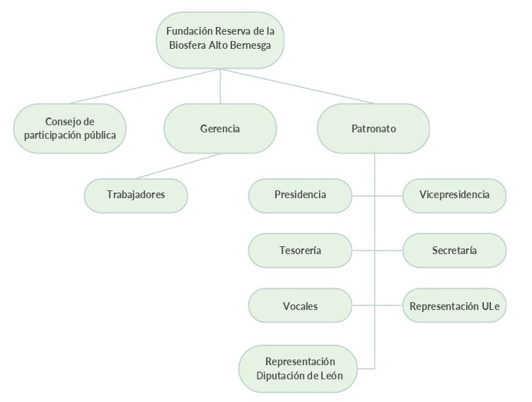 ORGANIGRAMA_ ORGANIGRAMA_