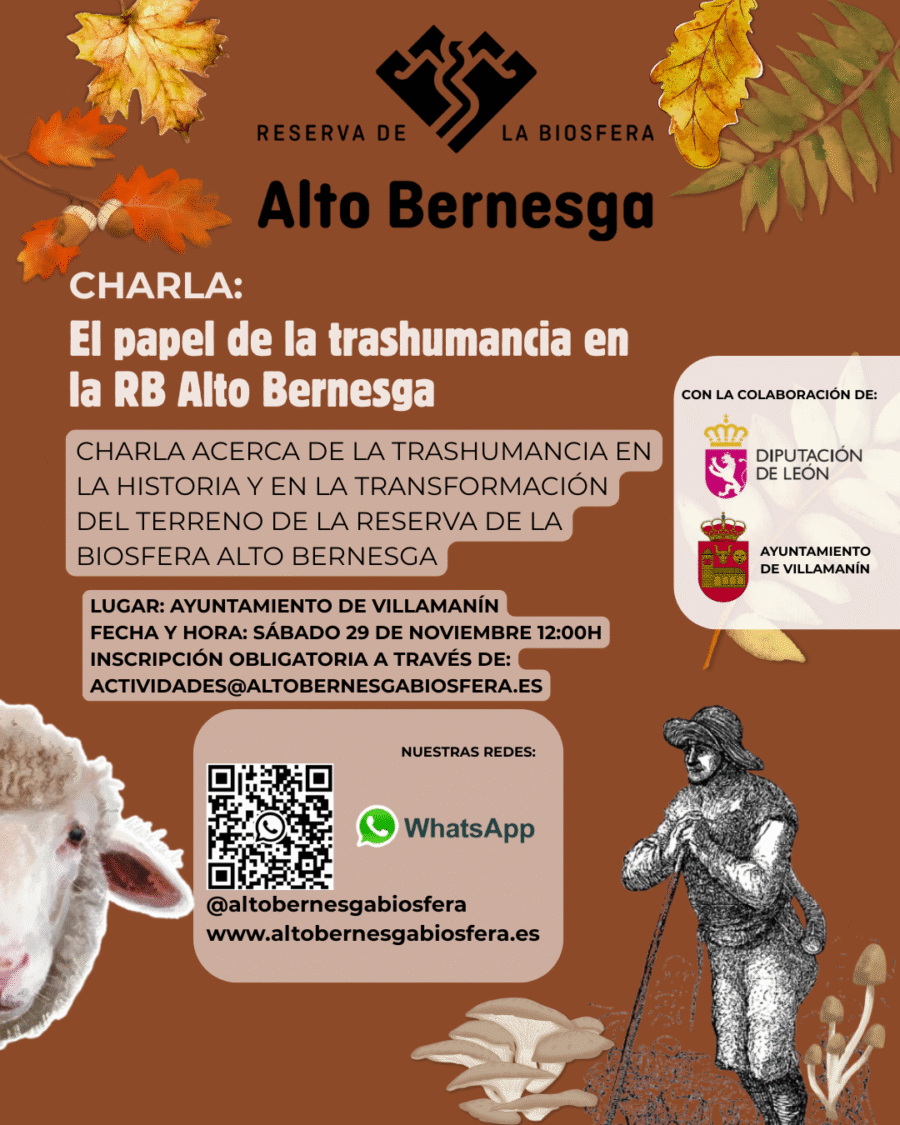 TRASHUMANCIA
