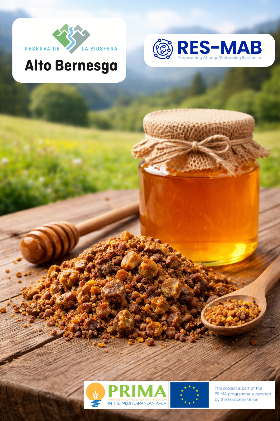 RES-MAB: Propolis as a business model
