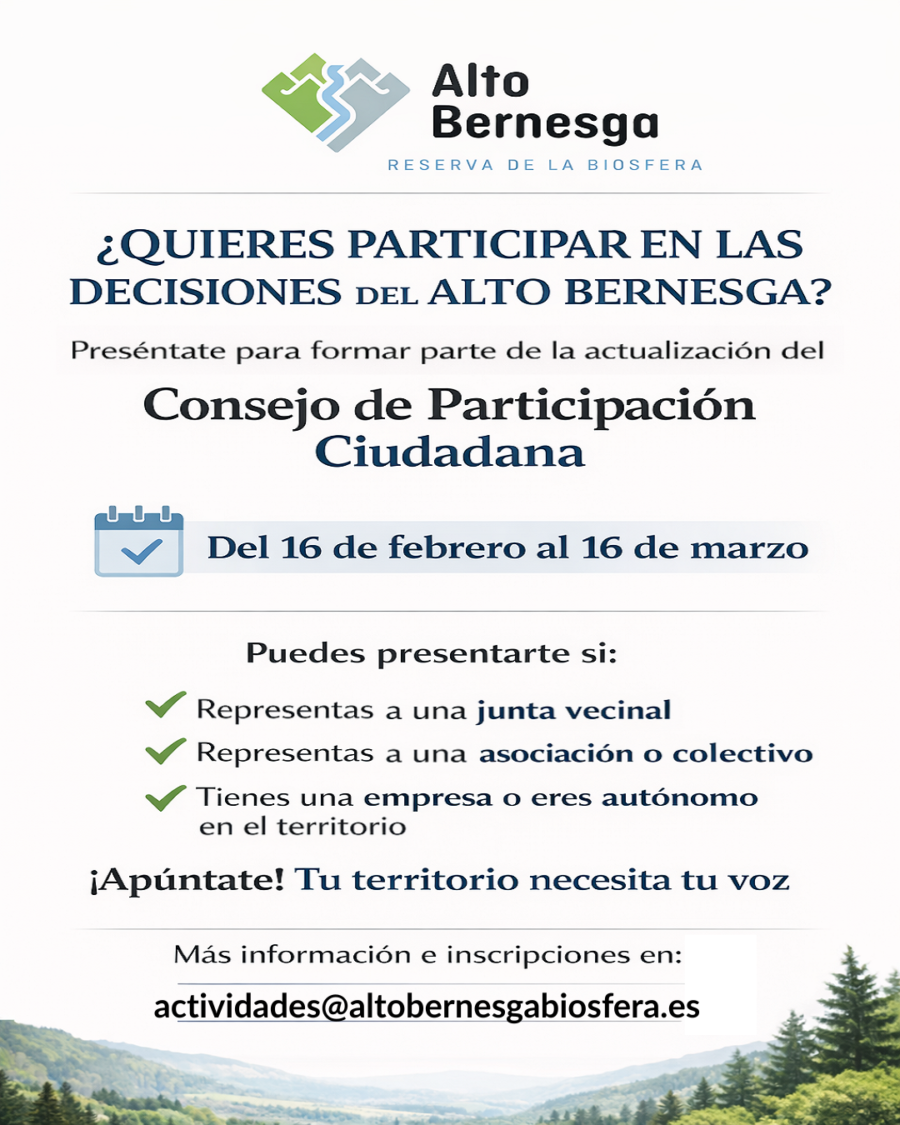 Consejo de Participación (2)
