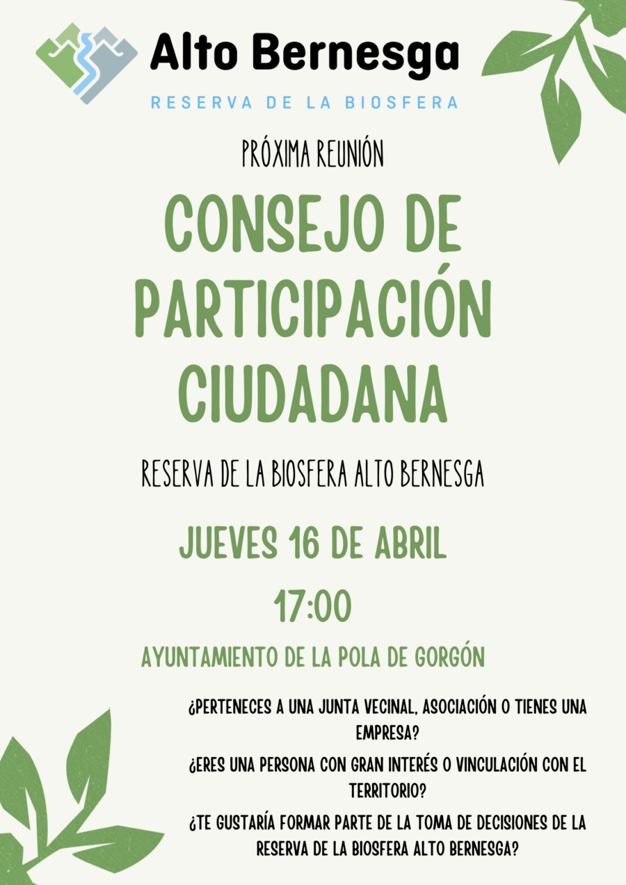 Reunion Consejo participacion