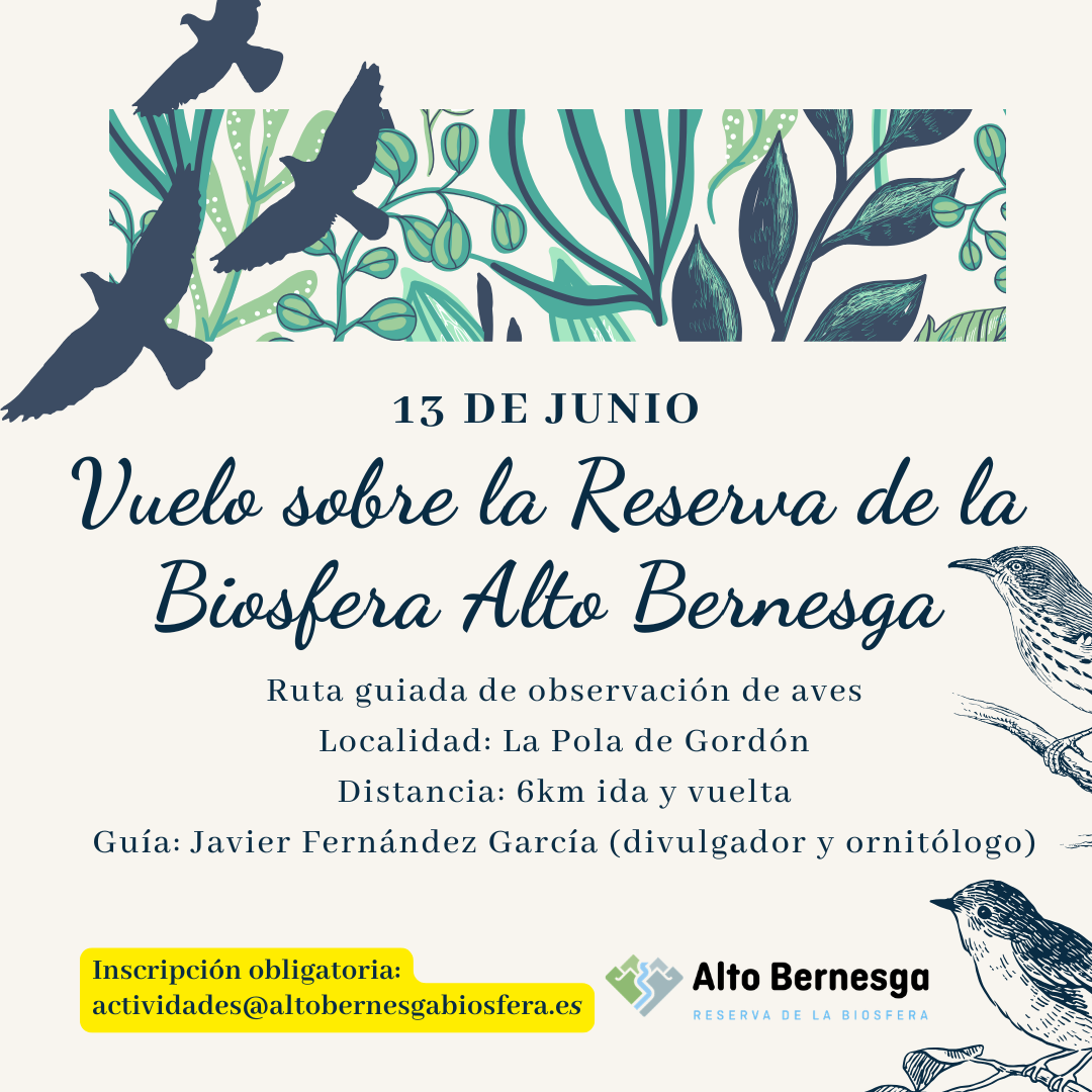 Avistamiento de aves