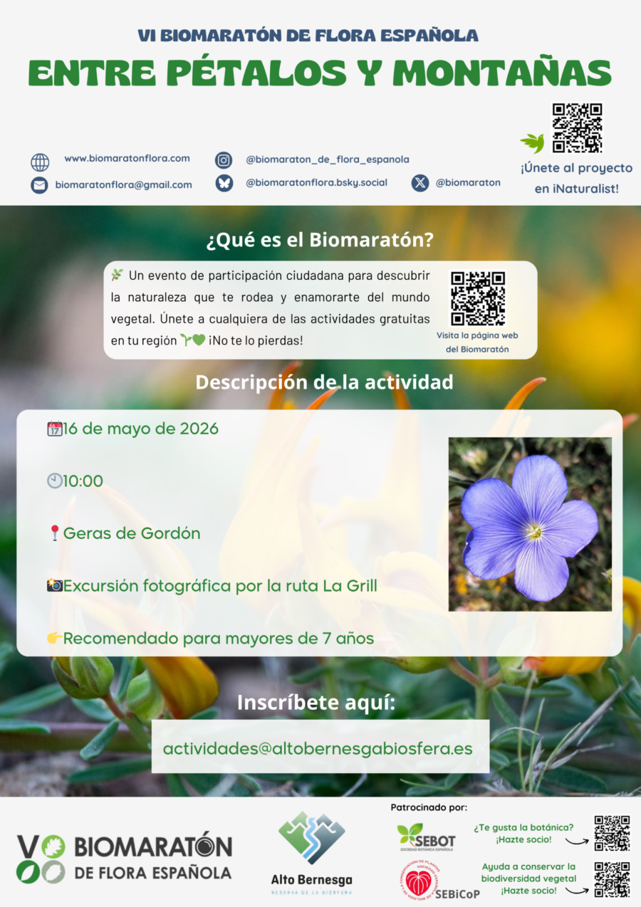 Cartel-Actividades-VI-Biomaraton)