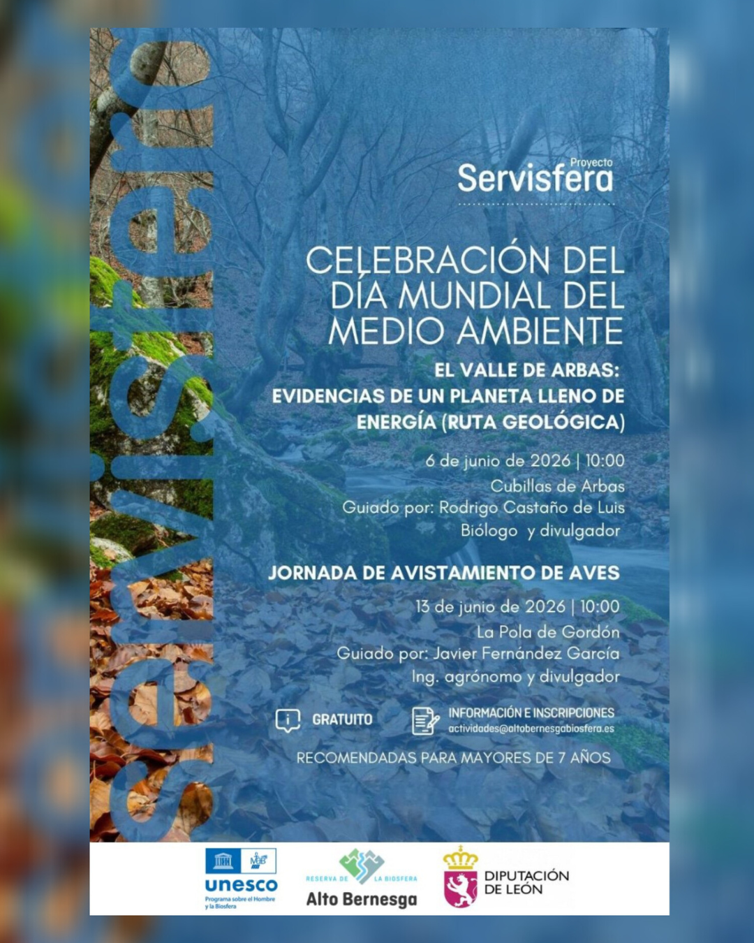 Cartel definitivo ed ambiental