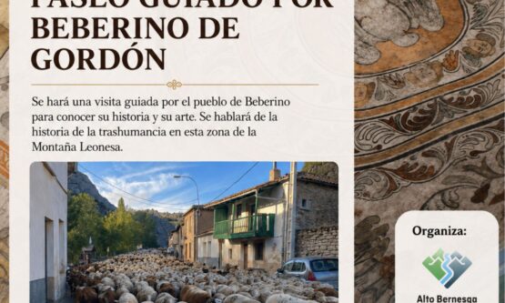 Paseo Beberino 2026 - 3