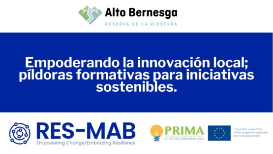 portada web