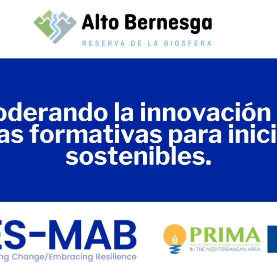 portada web