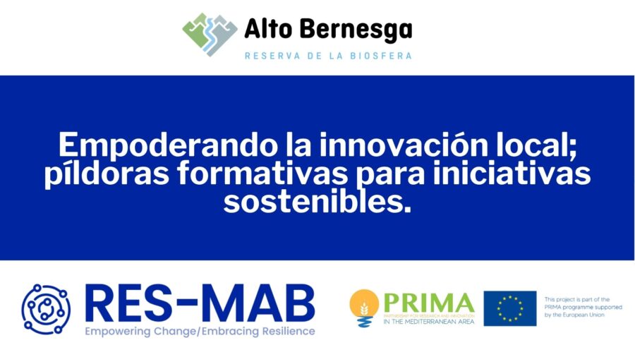 portada web