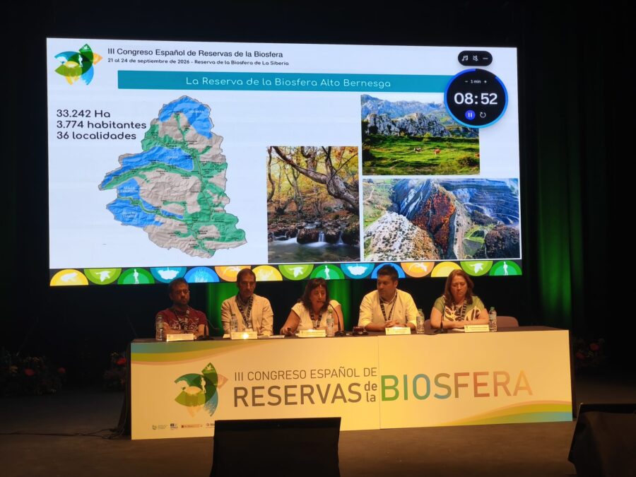 III Congreso de RB - Ponencia