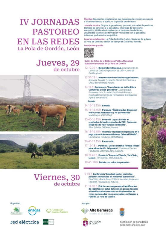 CARTEL IV JORNADAS DE PASTOREO EN LAS REDES II_page-0001